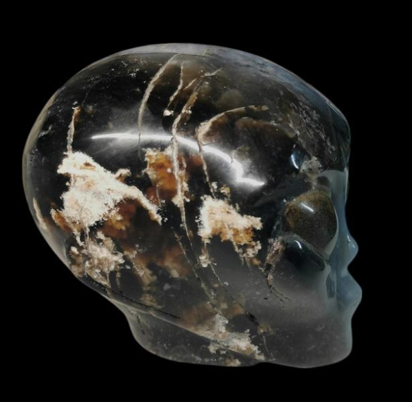 Alien Skull Black Agate